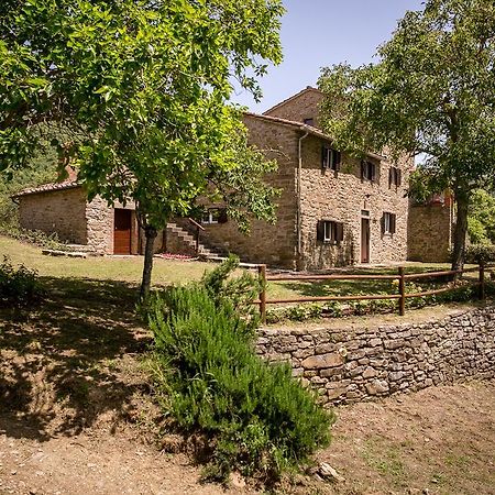 דירות קסטיליון פיורנטינו Borgo Al Teto La Vite מראה חיצוני תמונה