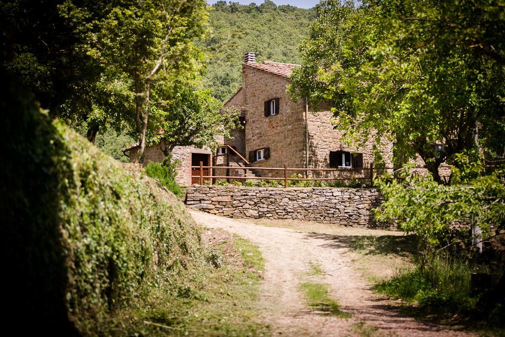 דירות קסטיליון פיורנטינו Borgo Al Teto La Vite מראה חיצוני תמונה
