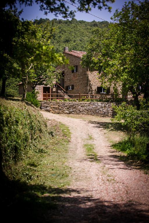 דירות קסטיליון פיורנטינו Borgo Al Teto La Vite מראה חיצוני תמונה