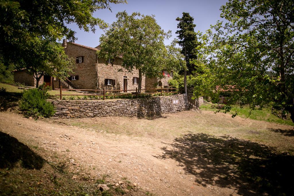 דירות קסטיליון פיורנטינו Borgo Al Teto La Vite מראה חיצוני תמונה