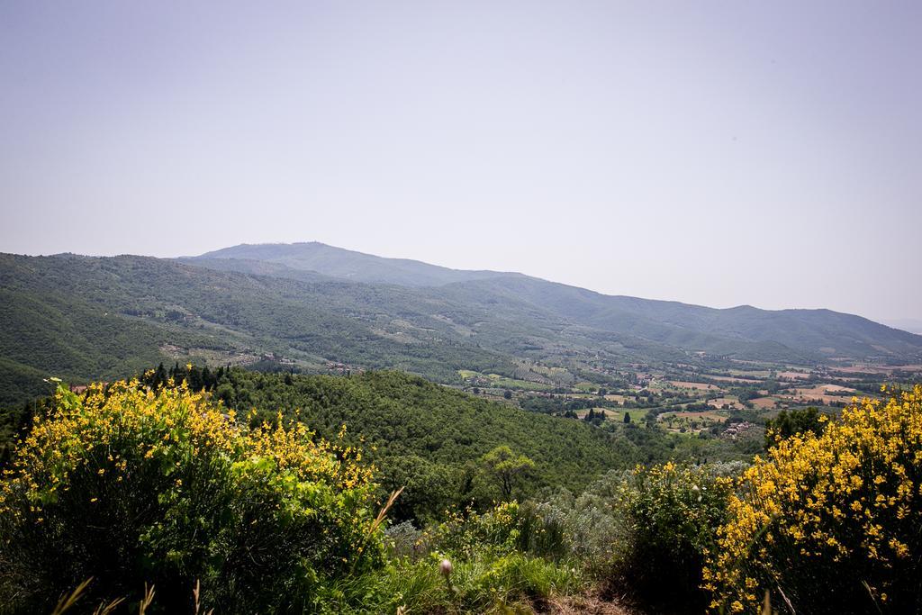 דירות קסטיליון פיורנטינו Borgo Al Teto La Vite מראה חיצוני תמונה