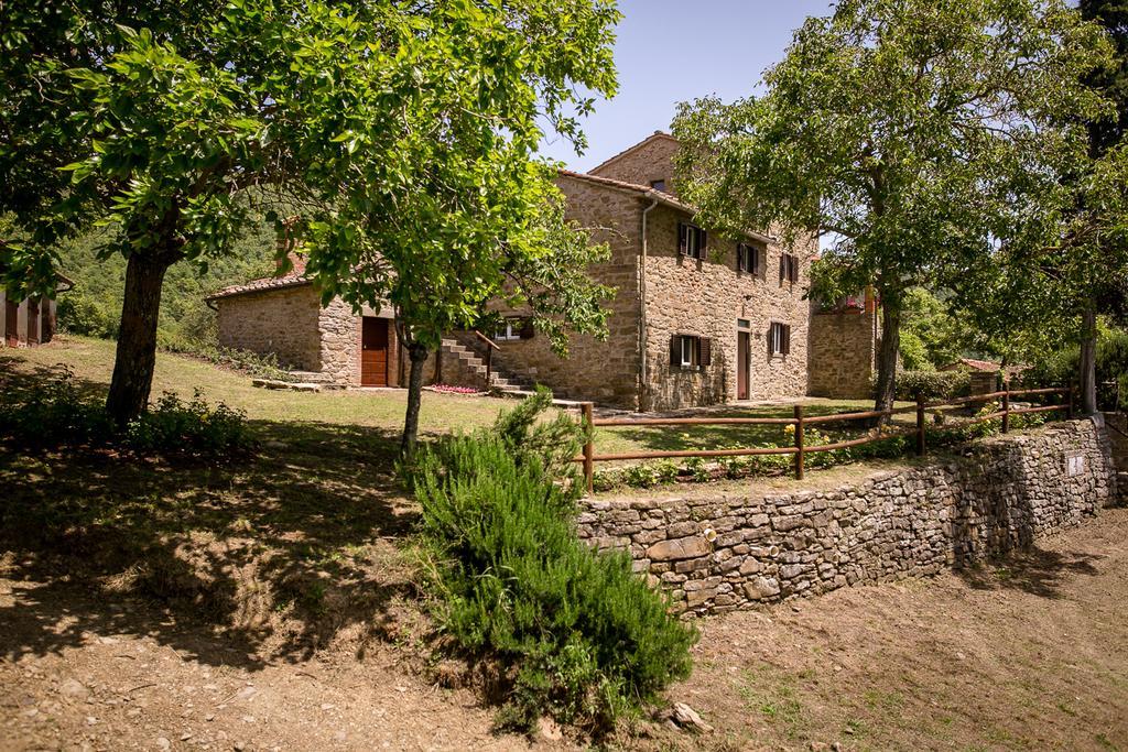 דירות קסטיליון פיורנטינו Borgo Al Teto La Vite מראה חיצוני תמונה